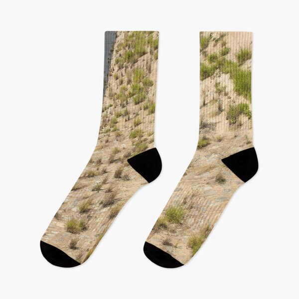 Item preview, Plants on the rock 3 designed and sold by felipequeiroz.