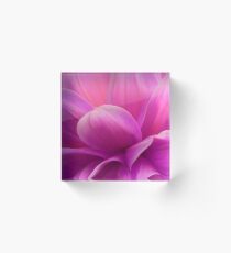 Hot pink flower pedals Acrylic Block