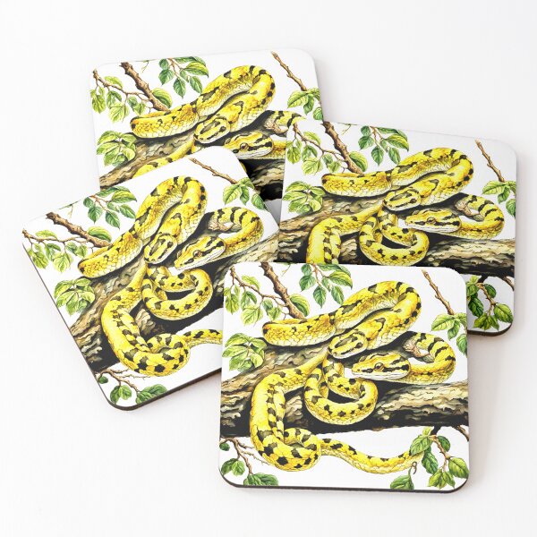 Item preview, Yellow Bothriechis schlegelii eyebrow viper#1 designed and sold by Helios Be. Lavsh.