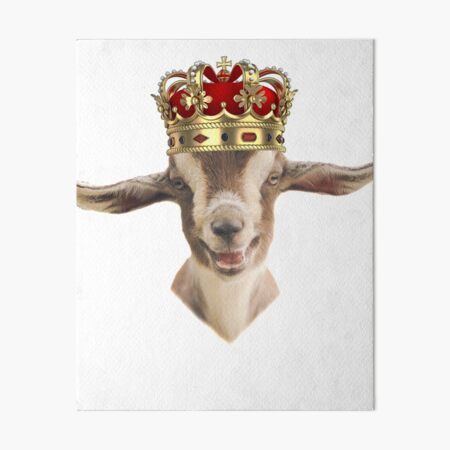 19++ Finest Donkey llama goat sheep wall art images information