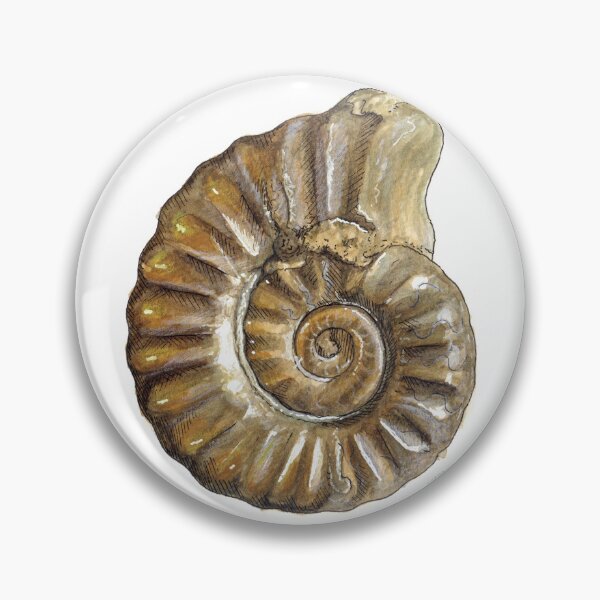 Item preview, Ammonite Watercolour designed and sold by Tom Napper Design.