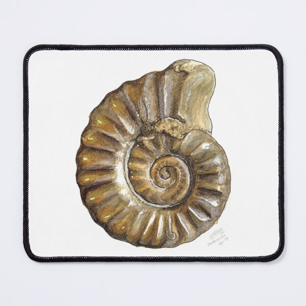 Item preview, Ammonite Watercolour designed and sold by Tom Napper Design.