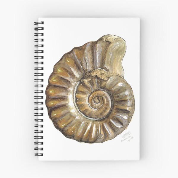 Item preview, Ammonite Watercolour designed and sold by Tom Napper Design.