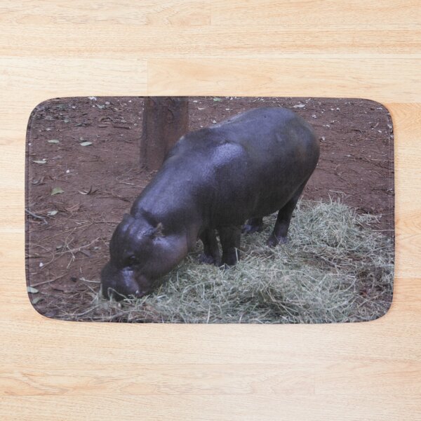 Item preview, A baby hippo grazing on grass at Nairobi National Park.  designed and sold by Jamesk82.