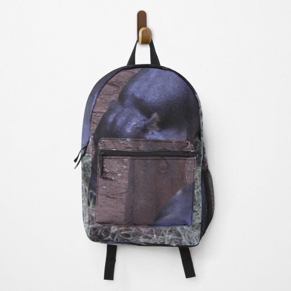 Item preview, A baby hippo grazing on grass at Nairobi National Park. designed and sold by Jamesk82.