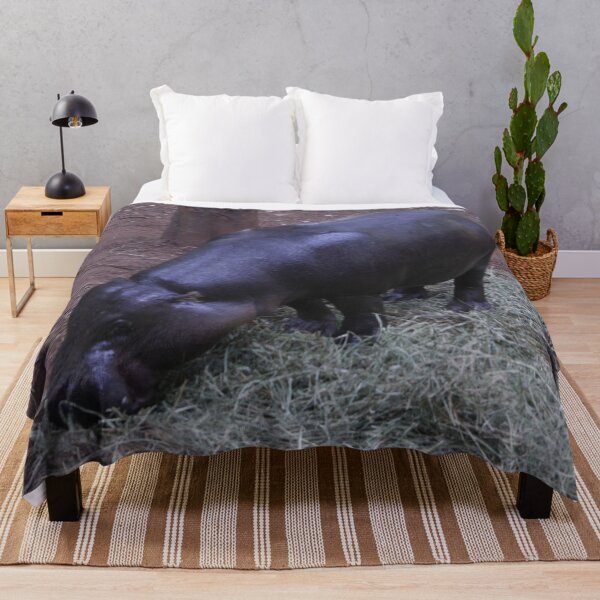 Item preview, A baby hippo grazing on grass at Nairobi National Park.  designed and sold by Jamesk82.