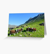 The Lake District: Herdwick Sheep & The Langdales. Greeting Card