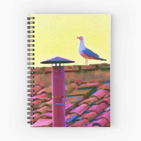 Item preview, The seagull on an Afternoon of Conclave. designed and sold by José Ricardo.