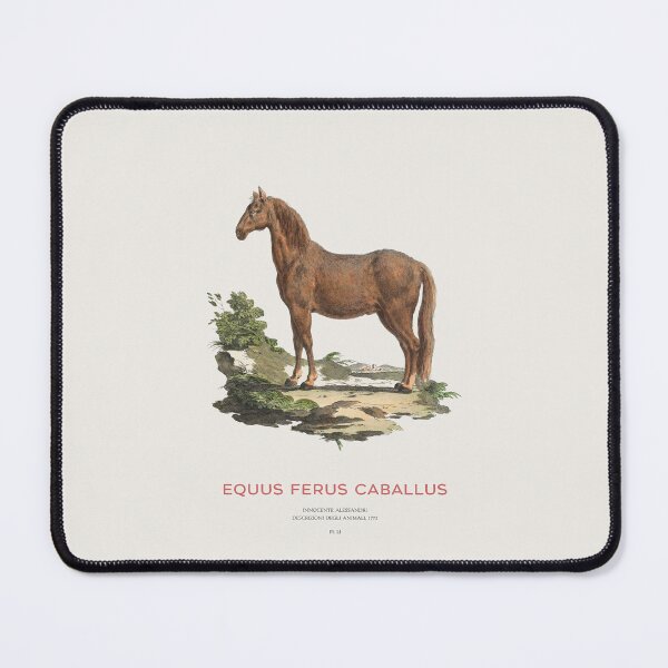 Item preview, Vintage Horse Scientific Art designed and sold by Vintagrafica.