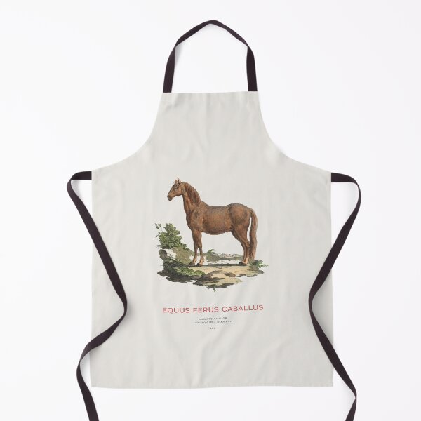 Item preview, Vintage Horse Scientific Art designed and sold by Vintagrafica.