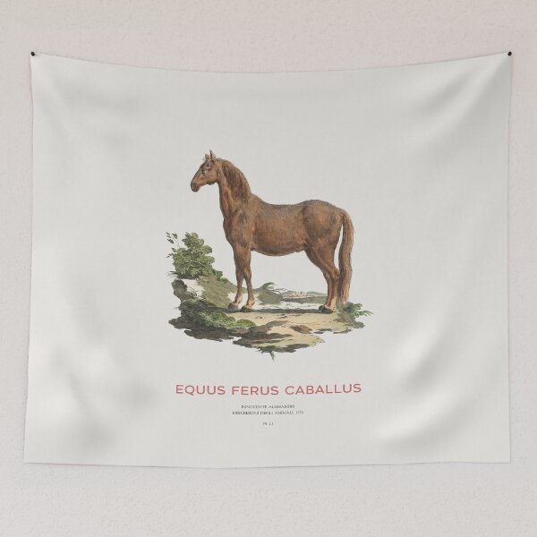 Item preview, Vintage Horse Scientific Art designed and sold by Vintagrafica.