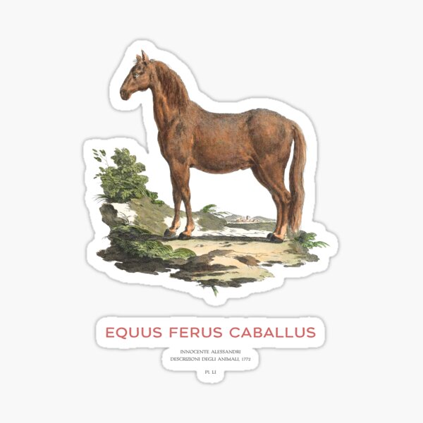 Item preview, Vintage Horse Scientific Art designed and sold by Vintagrafica.