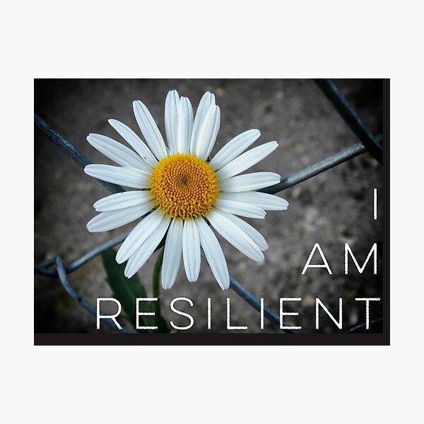 Daisy - I Am Resilient Photographic Print