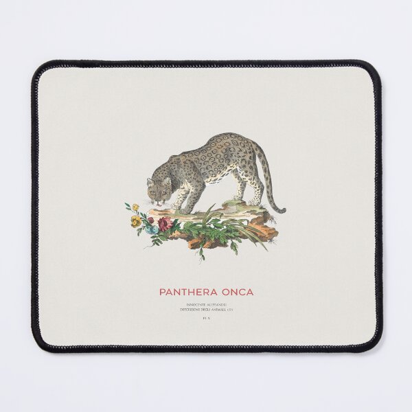 Item preview, The Jaguar Scientific Drawing designed and sold by Vintagrafica.