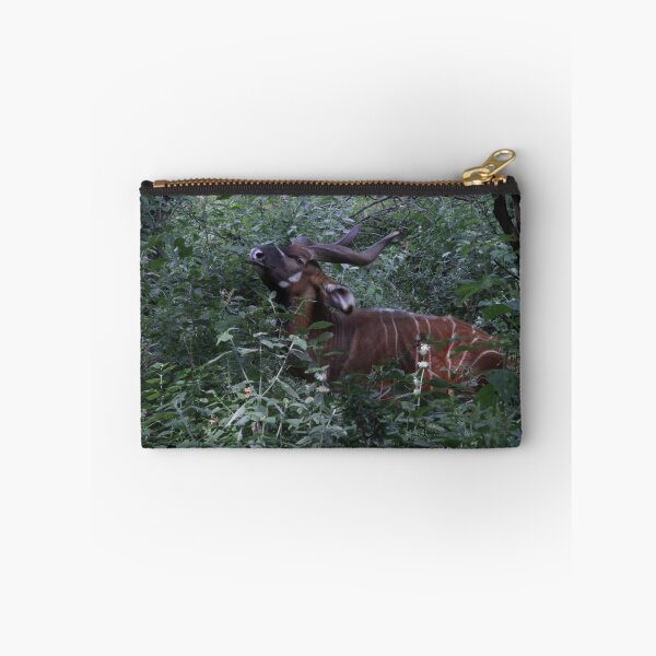 Item preview, Wildlife photography of the endangered bongo antelope at Nairobi National Park! designed and sold by Jamesk82.