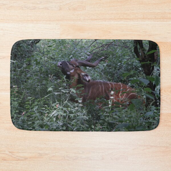 Item preview, Wildlife photography of the endangered bongo antelope at Nairobi National Park! designed and sold by Jamesk82.