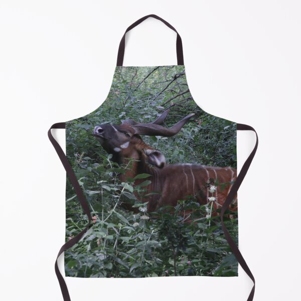 Item preview, Wildlife photography of the endangered bongo antelope at Nairobi National Park! designed and sold by Jamesk82.