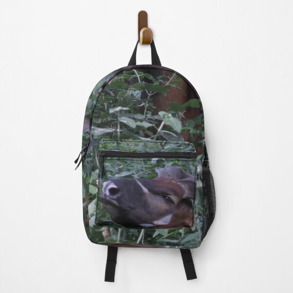 Item preview, Wildlife photography of the endangered bongo antelope at Nairobi National Park! designed and sold by Jamesk82.