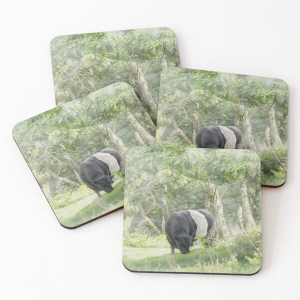 Item preview, Belted Galloways Watercolour Photograph designed and sold by Jane Stanley Photography.