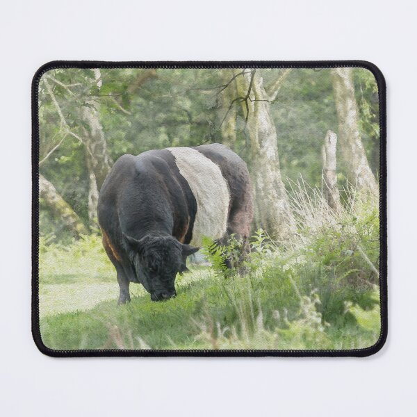 Item preview, Belted Galloways Watercolour Photograph designed and sold by Jane Stanley Photography.