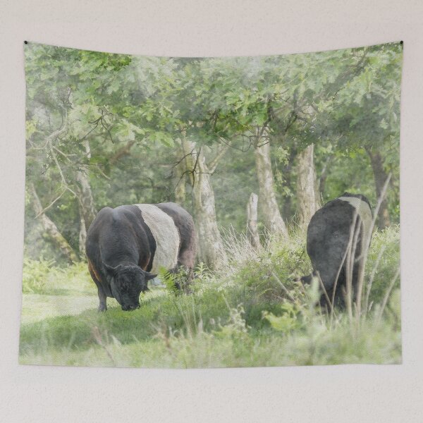 Item preview, Belted Galloways Watercolour Photograph designed and sold by Jane Stanley Photography.