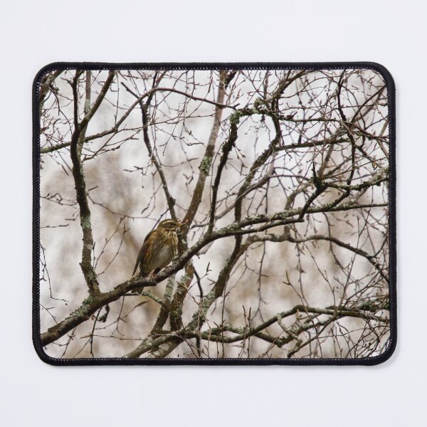 Item preview, On a rainy day. Redwing designed and sold by Jouko Lehto Photography.