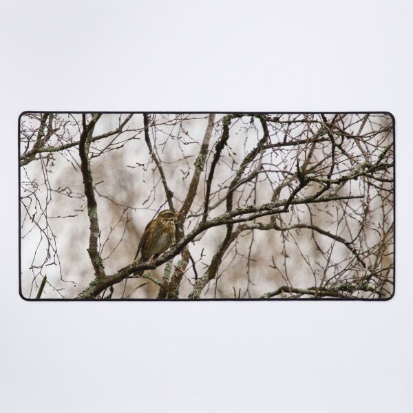 Item preview, On a rainy day. Redwing designed and sold by Jouko Lehto Photography.