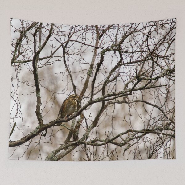 Item preview, On a rainy day. Redwing designed and sold by Jouko Lehto Photography.