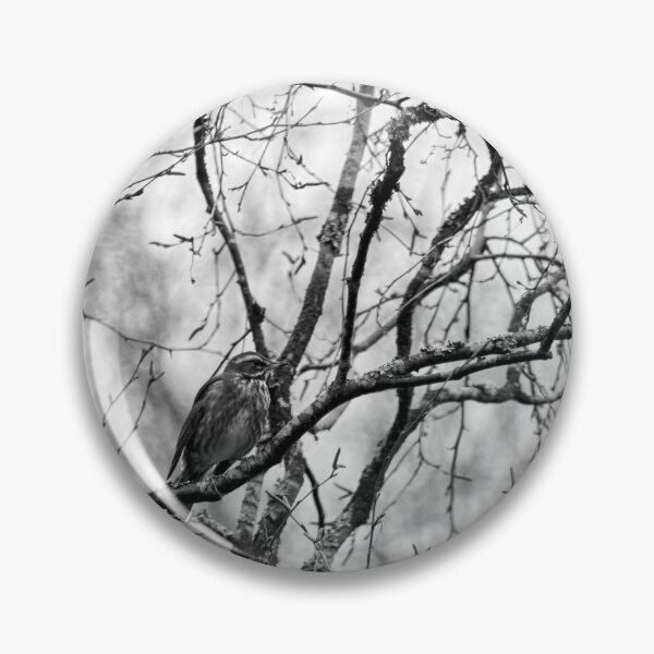 Item preview, On a rainy day. Redwing bw designed and sold by Jouko Lehto Photography.