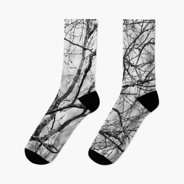 Item preview, On a rainy day. Redwing bw designed and sold by Jouko Lehto Photography.