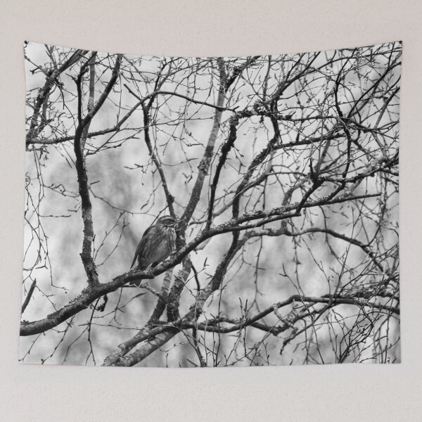 Item preview, On a rainy day. Redwing bw designed and sold by Jouko Lehto Photography.