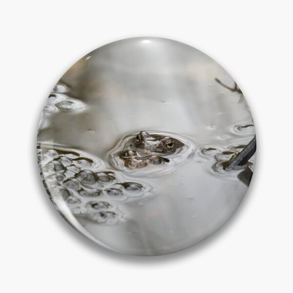 Item preview, In the making. European common brown frog designed and sold by Jouko Lehto Photography.