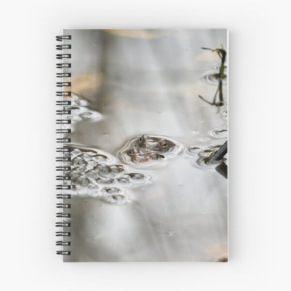 Item preview, In the making. European common brown frog designed and sold by Jouko Lehto Photography.