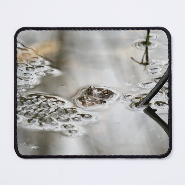 Item preview, In the making. European common brown frog designed and sold by Jouko Lehto Photography.