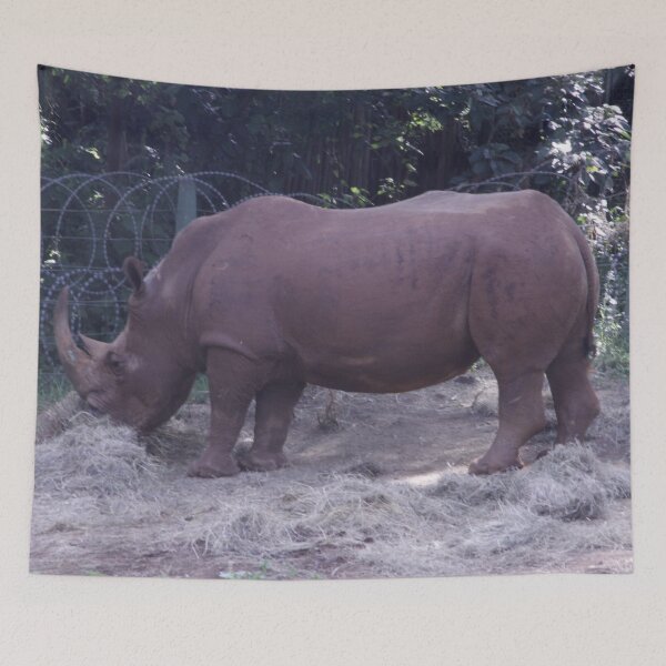 Item preview, Wildlife photography of a rhino grazing at Nairobi National Park! designed and sold by Jamesk82.