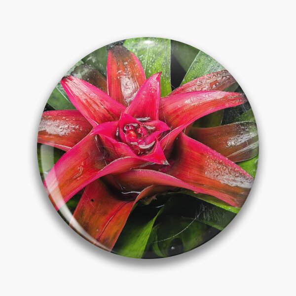 Item preview, Pink Flower Nature Photography from Madrid designed and sold by Paws-e-whiskers.
