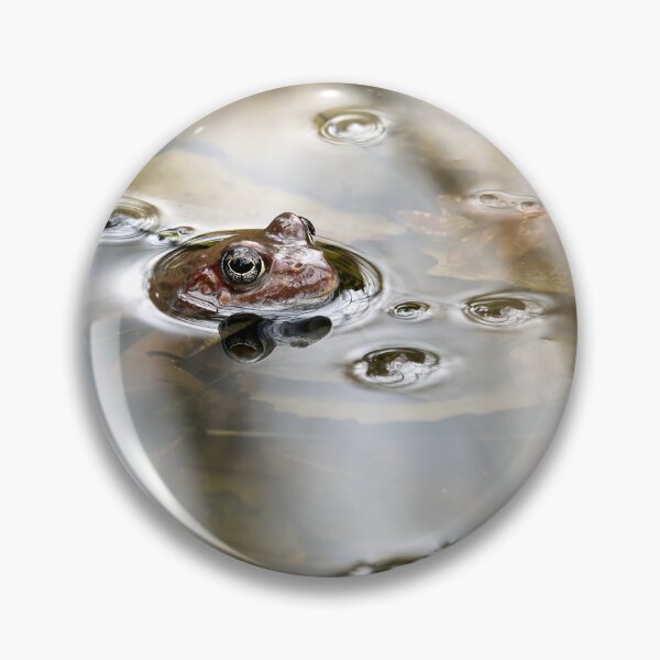 Item preview, In the pond. European common brown frog designed and sold by Jouko Lehto Photography.