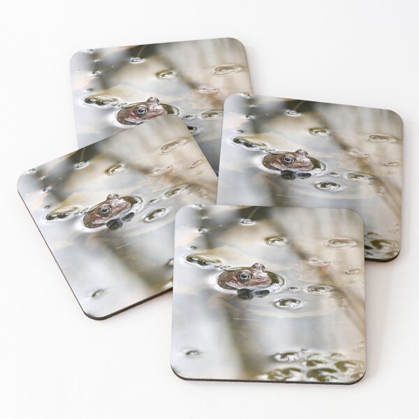 Item preview, In the pond. European common brown frog designed and sold by Jouko Lehto Photography.