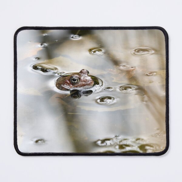Item preview, In the pond. European common brown frog designed and sold by Jouko Lehto Photography.