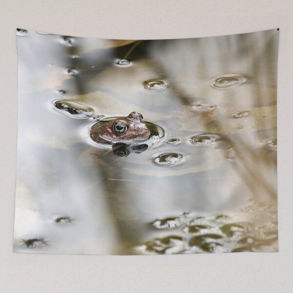 Item preview, In the pond. European common brown frog designed and sold by Jouko Lehto Photography.