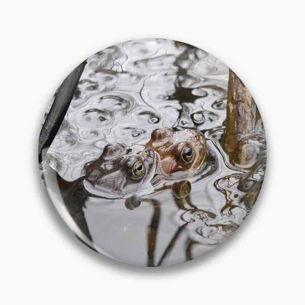 Item preview, Let's do some more. European common brown frog designed and sold by Jouko Lehto Photography.