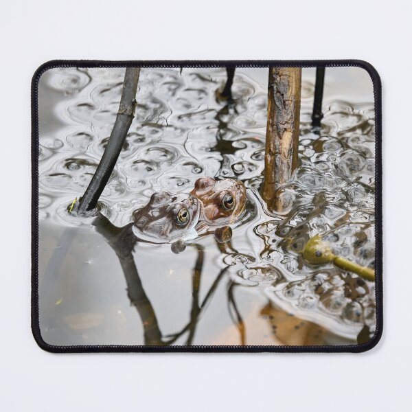 Item preview, Let's do some more. European common brown frog designed and sold by Jouko Lehto Photography.