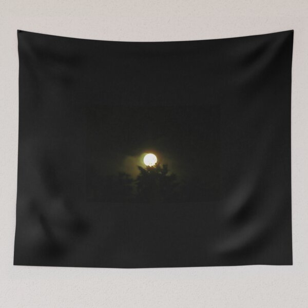 Aperçu de l'œuvre Nocturnal No 7 créée et vendue par ArtOfE.
