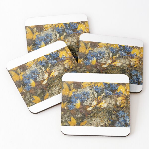 Item preview, Dry bouquet of wild flowers on the background of wet glass designed and sold by EchoOfSilence.