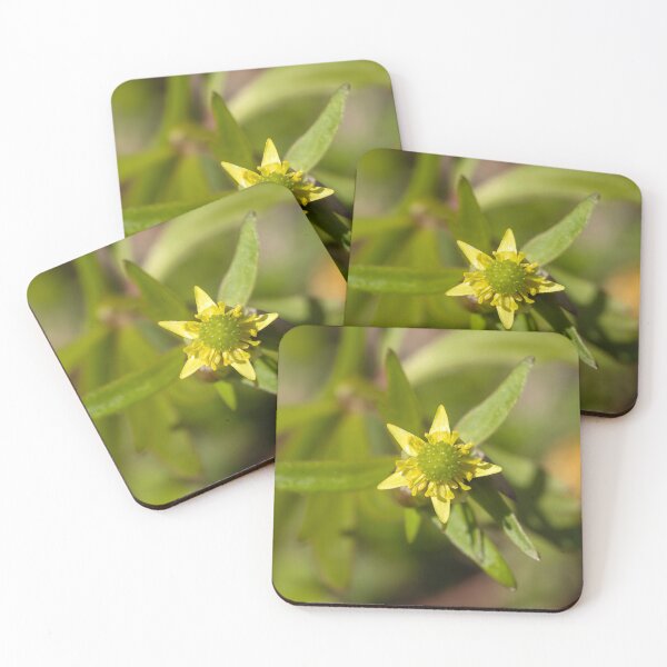 Item preview, Small flowered buttercup blooming, closeup designed and sold by KRFNatureGifts.