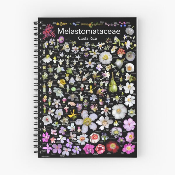 Artikelvorschau, Melastomataceae von Costa Rica (mit schwarzem Hintergrund) entworfen und verkauft von Ricardo Kriebel.