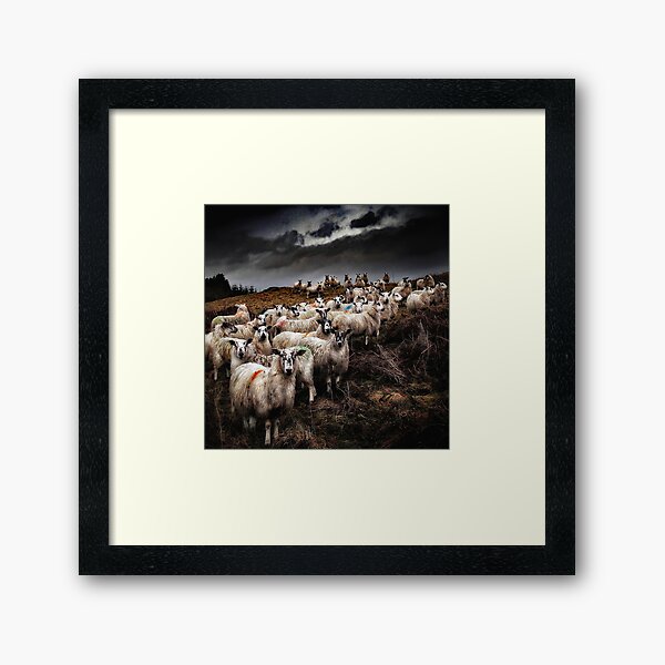 Framed Art Print