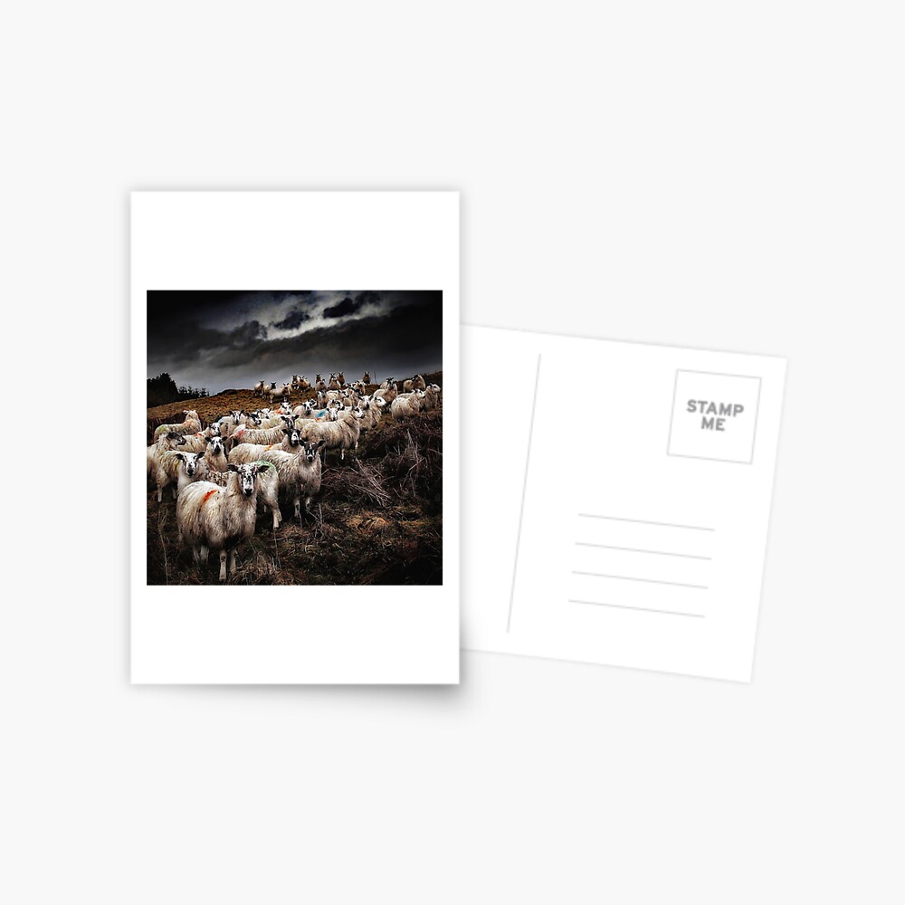 Item preview, Postcard designed and sold by Coigach.