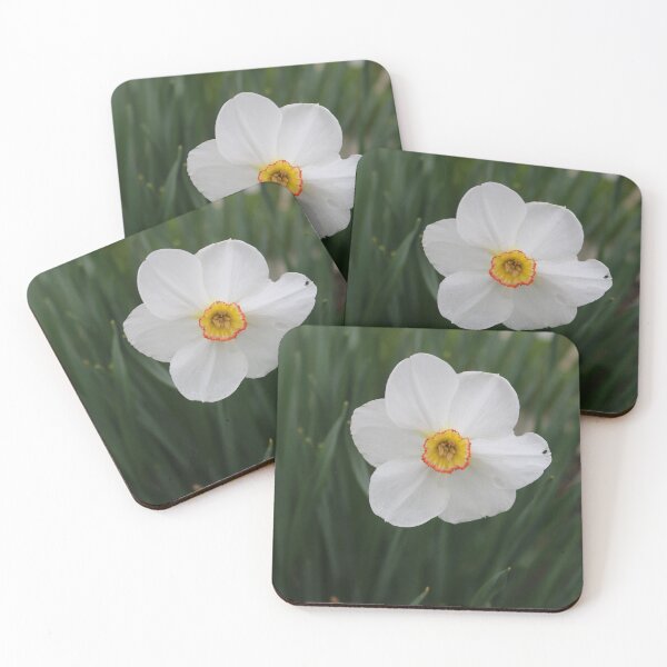 Item preview, Art by Mike Photography Photo Botany Flowers Nature Photography Leaves designed and sold by allartbymike.