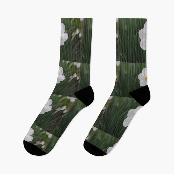Item preview, Art by Mike Photography Photo Botany Flowers Nature Photography Leaves designed and sold by allartbymike.